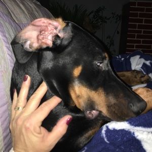 Meet your Posher, Jodie